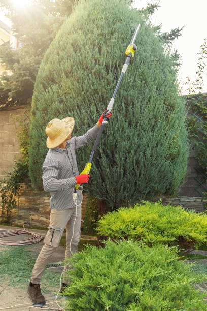 Best Aeration Services  in Louisa, VA